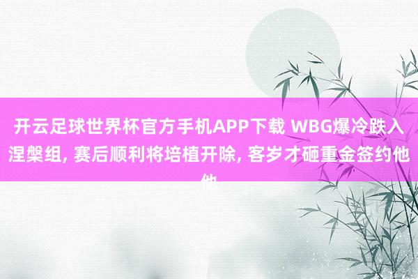 开云足球世界杯官方手机APP下载 WBG爆冷跌入涅槃组, 赛后顺利将培植开除, 客岁才砸重金签约他
