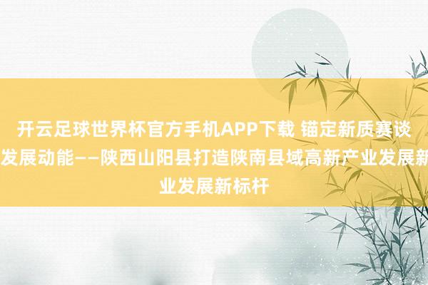 开云足球世界杯官方手机APP下载 锚定新质赛谈 激活发展动能——陕西山阳县打造陕南县域高新产业发展新标杆