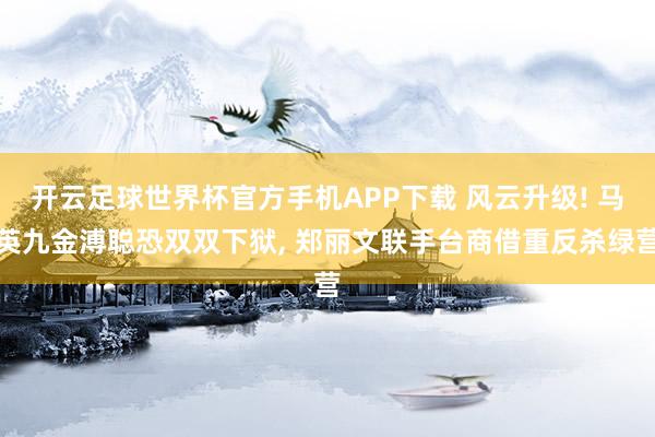 开云足球世界杯官方手机APP下载 风云升级! 马英九金溥聪恐双双下狱, 郑丽文联手台商借重反杀绿营