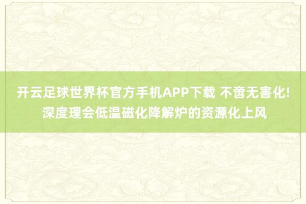 开云足球世界杯官方手机APP下载 不啻无害化! 深度理会低温磁化降解炉的资源化上风