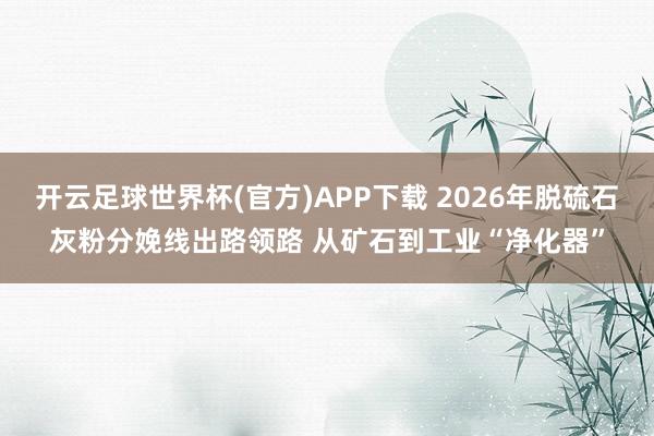 开云足球世界杯(官方)APP下载 2026年脱硫石灰粉分娩线出路领路 从矿石到工业“净化器”