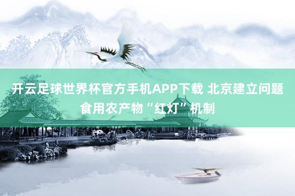 开云足球世界杯官方手机APP下载 北京建立问题食用农产物“红灯”机制