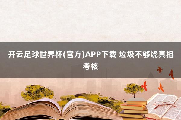 开云足球世界杯(官方)APP下载 垃圾不够烧真相考核