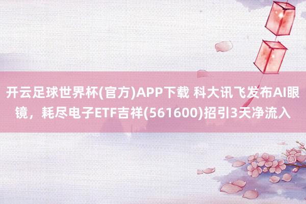 开云足球世界杯(官方)APP下载 科大讯飞发布AI眼镜，耗尽电子ETF吉祥(561600)招引3天净流入