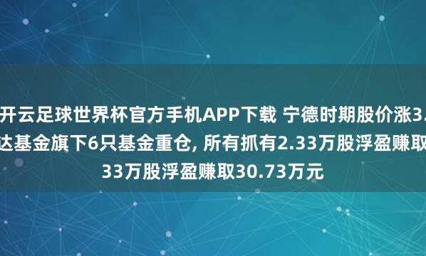 开云足球世界杯官方手机APP下载 宁德时期股价涨3.17%, 富安达基金旗下6只基金重仓, 所有抓有2.33万股浮盈赚取30.73万元