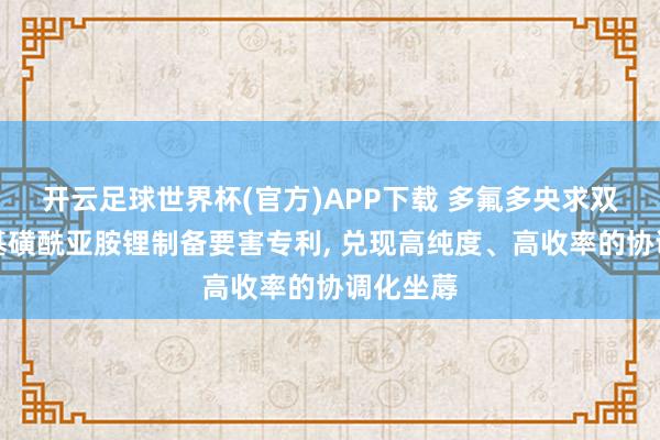 开云足球世界杯(官方)APP下载 多氟多央求双三氟甲基磺酰亚胺锂制备要害专利, 兑现高纯度、高收率的协调化坐蓐