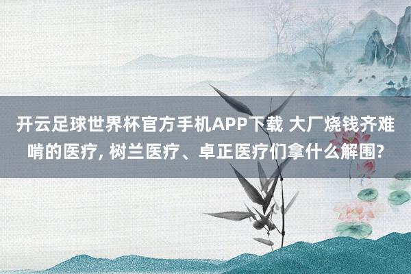开云足球世界杯官方手机APP下载 大厂烧钱齐难啃的医疗, 树兰医疗、卓正医疗们拿什么解围?
