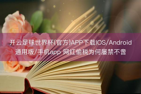 开云足球世界杯(官方)APP下载IOS/Android通用版/手机app 网红偷税为何屡禁不啻