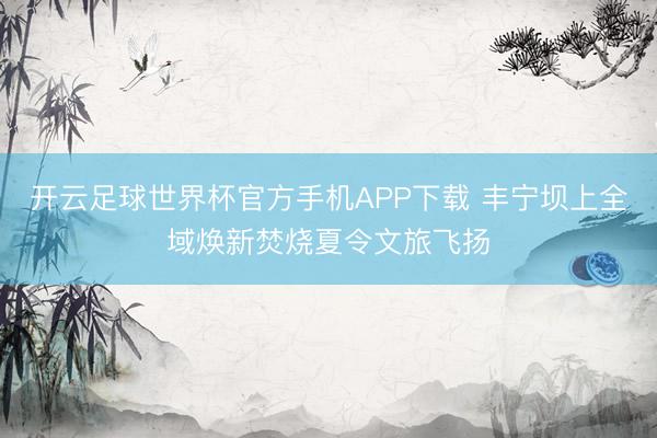 开云足球世界杯官方手机APP下载 丰宁坝上全域焕新焚烧夏令文旅飞扬