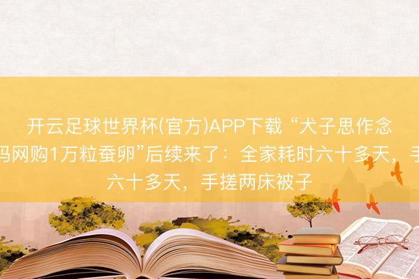 开云足球世界杯(官方)APP下载 “犬子思作念蚕丝被，姆妈网购1万粒蚕卵”后续来了：全家耗时六十多天，手搓两床被子