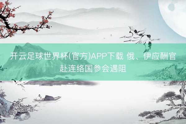 开云足球世界杯(官方)APP下载 俄、伊应酬官赴连络国参会遇阻
