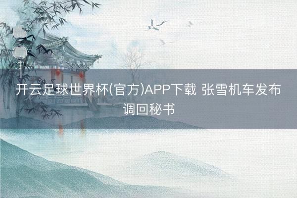 开云足球世界杯(官方)APP下载 张雪机车发布调回秘书